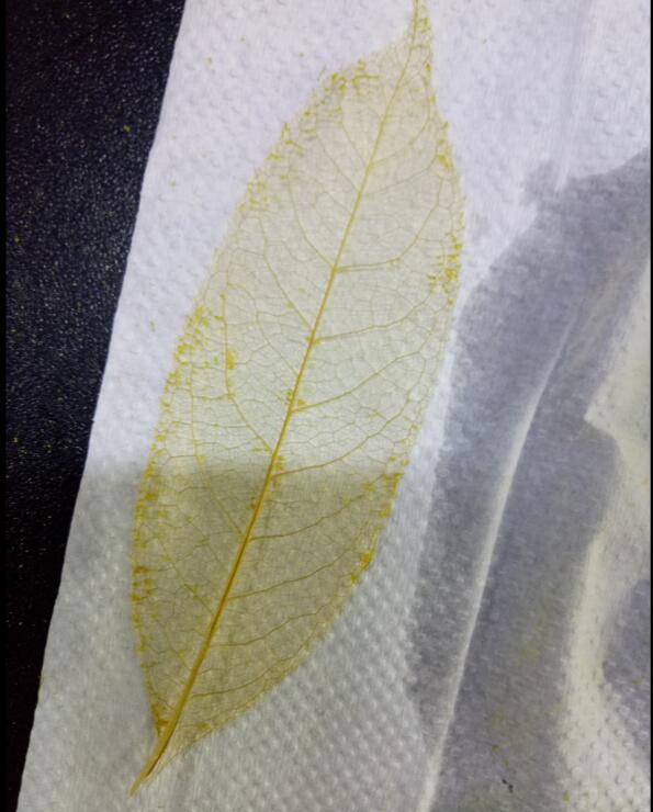 偷拍性爱